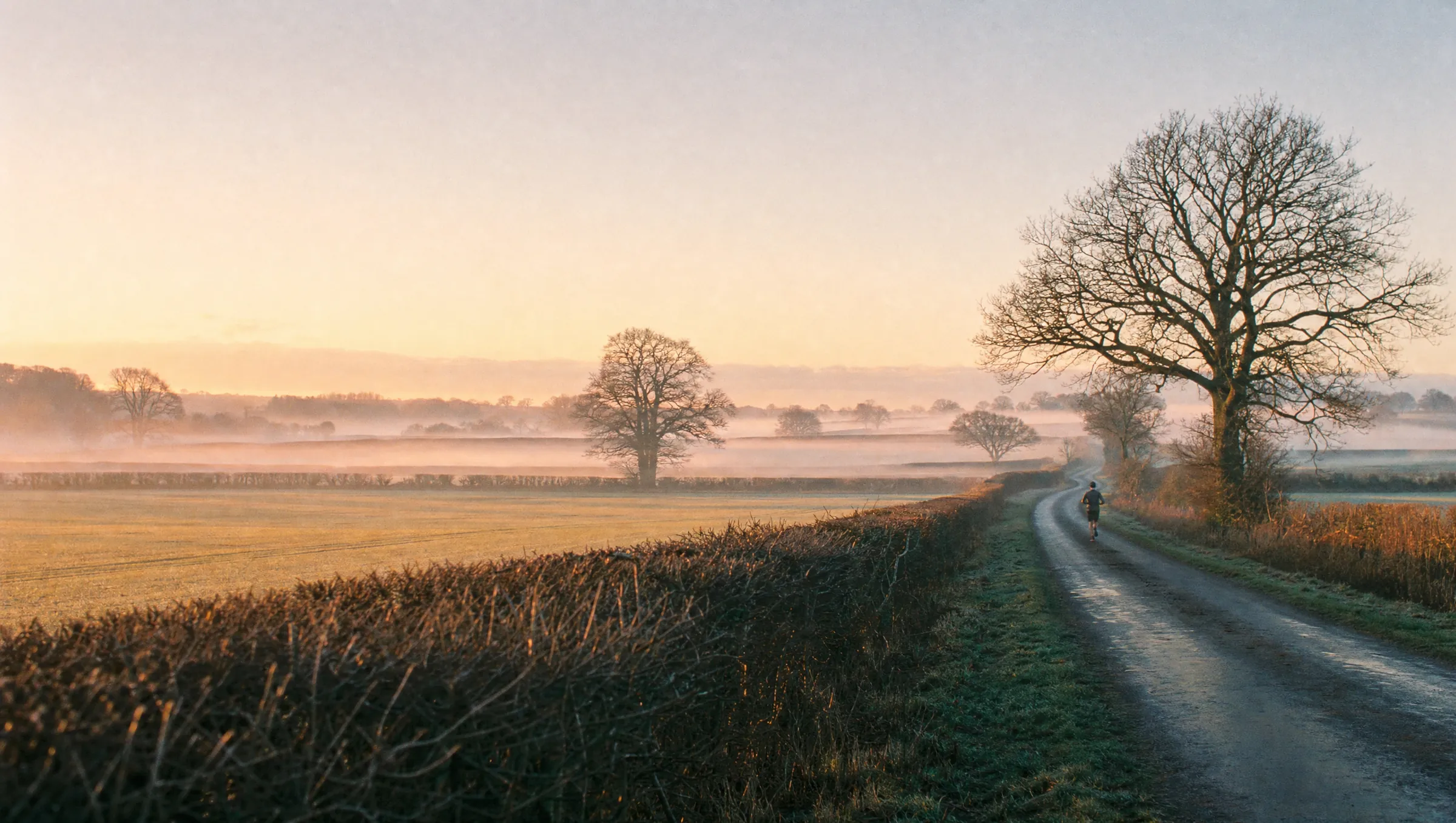 A runner on a misty country lane at dawn